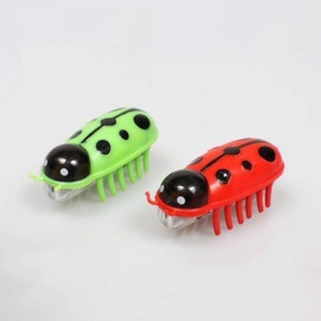 펫모닝 무당벌레 로봇벌레 고양이 사냥놀이 장난감 - 콤빌리지